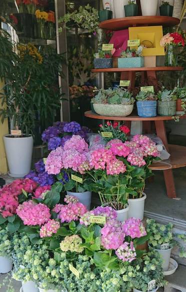 「花の店ささき」　（大分県大分市）の花屋店舗写真3