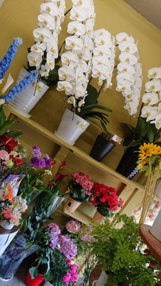 「花の店ささき」　（大分県大分市）の花屋店舗写真4